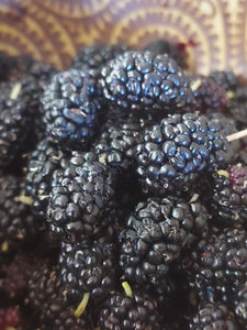 Mulberries