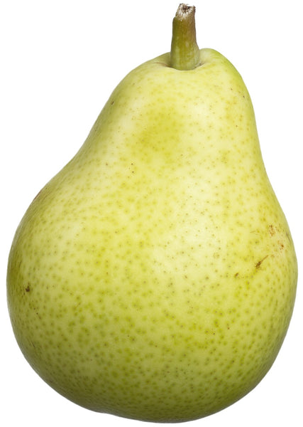 Pear, 'Bartlett' (Bare Root)