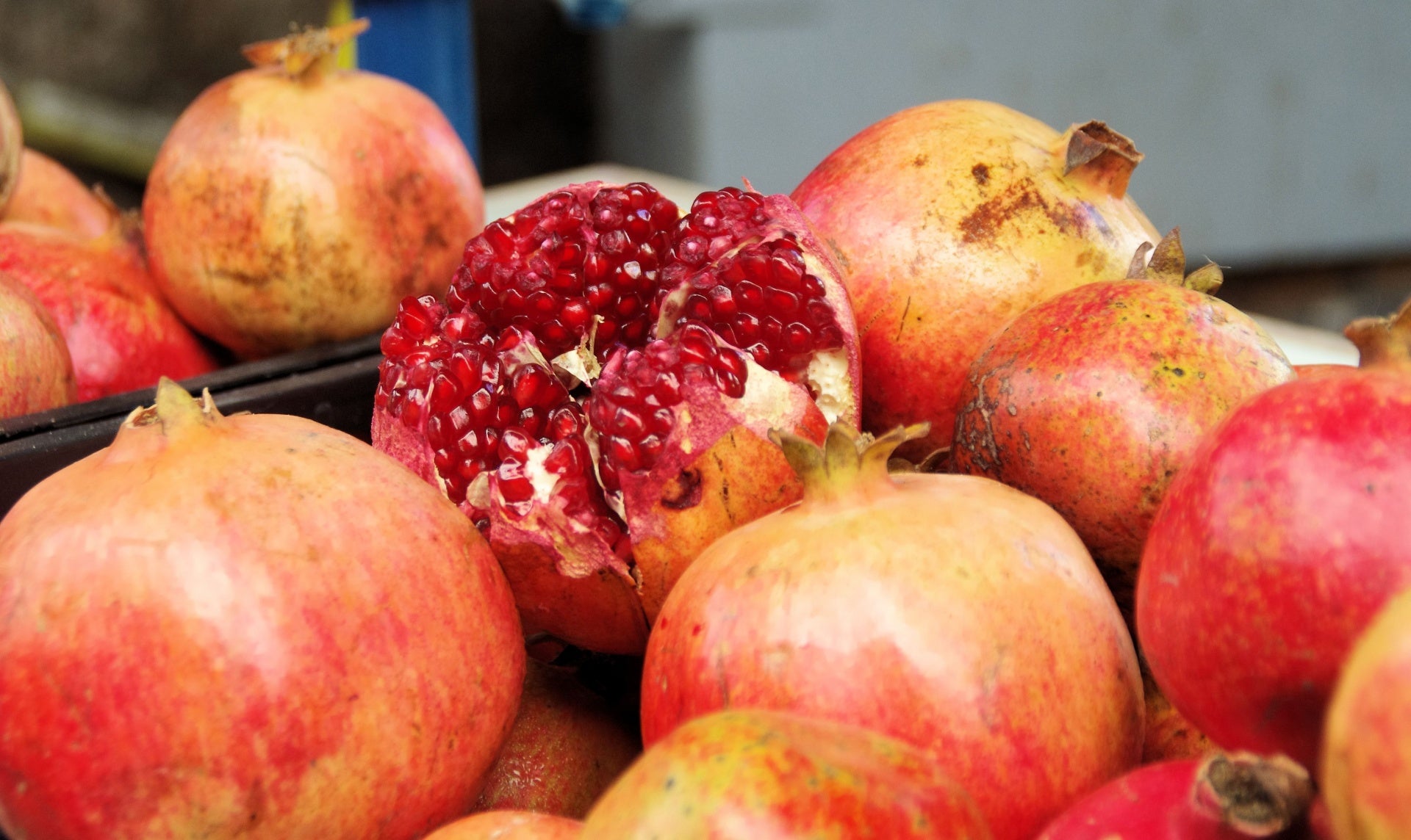 Pomegranate, Lubimi