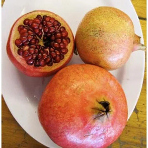 Pomegranate, Sirenevyi