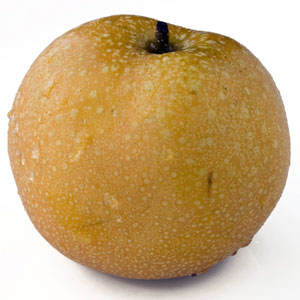 Asian Pear, 'Raja'