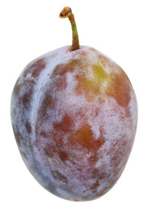 Plum, 'Elephant Heart' (Bare Root)