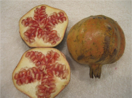 Pomegranate, Kaj Acik Anor